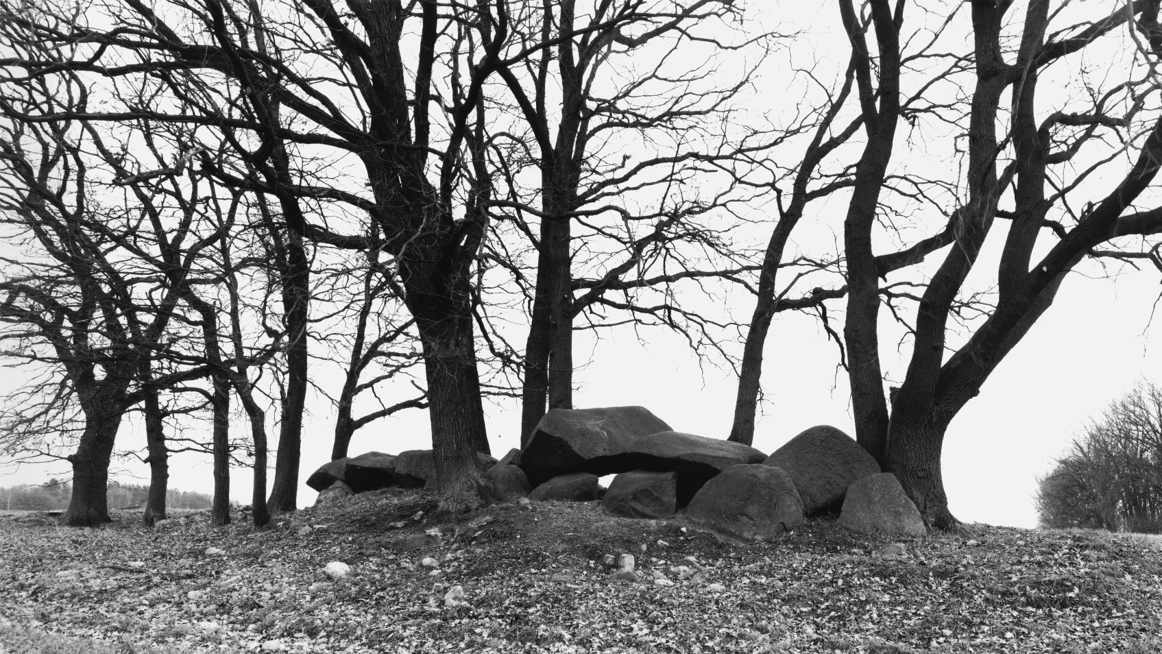 Der Großdolmen von Bornsen, Fundplatz 1, im Altmarkkreis Salzwedel. © Landesamt für Denkmalpflege und Archäologie Sachsen-Anhalt, Juraj Lipták.