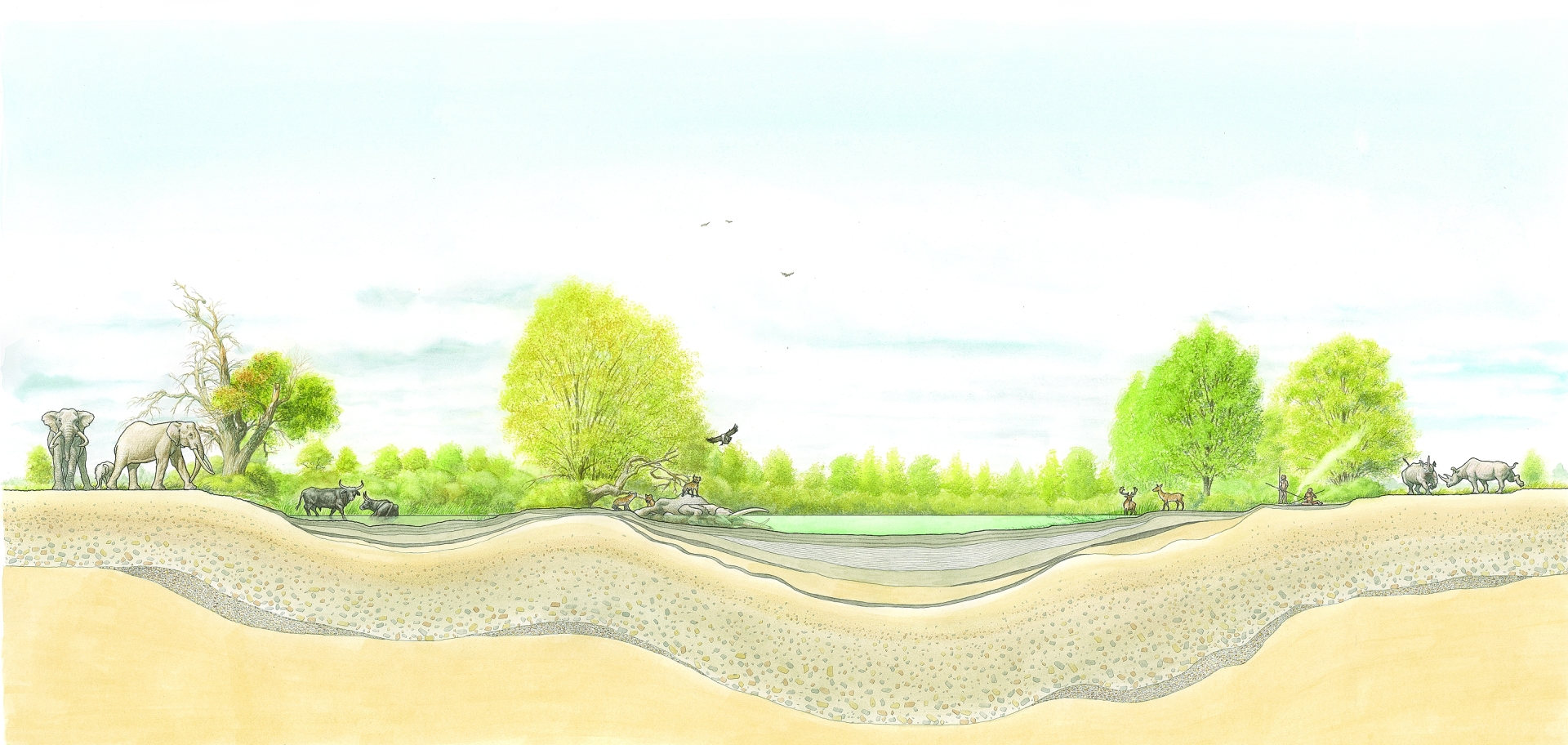 Rekonstruierter Schnitt durch das Seebecken von Neumark-Nord. © Landesamt für Denkmalpflege und Archäologie Sachsen-Anhalt, Karol Schauer.