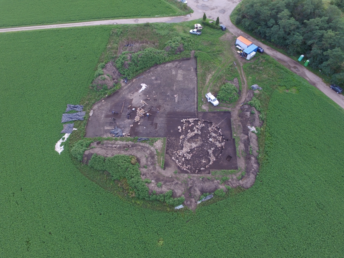 Mit einem Durchmesser von 65 Metern und einer Höhe von 13 Metern handelte es sich beim Bornhöck (bei Dieskau) um das größte bekannte Fürstengrab der frühen Bronzezeit. Die Reste des Hügelgrabs wurden zwischen 2014 und 2017 vollständig freigelegt und untersucht. In der Bildmitte gut erkennbar ist die Steinabdeckung der zentralen Grabkammer. © Landesamt für Denkmalpflege und Archäologie Sachsen-Anhalt, Thomas Koiki.